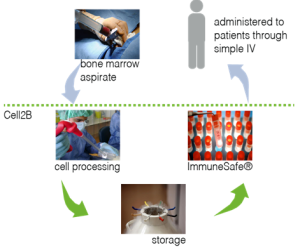 Cell2B - How it works