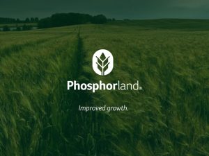 phosphorland